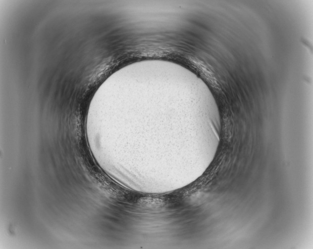 X0000094940354200712201120