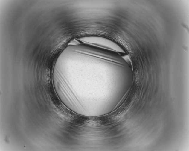 X0000094940356200712201120