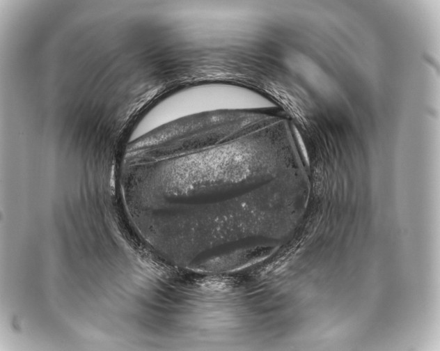 X0000094940358200712201120