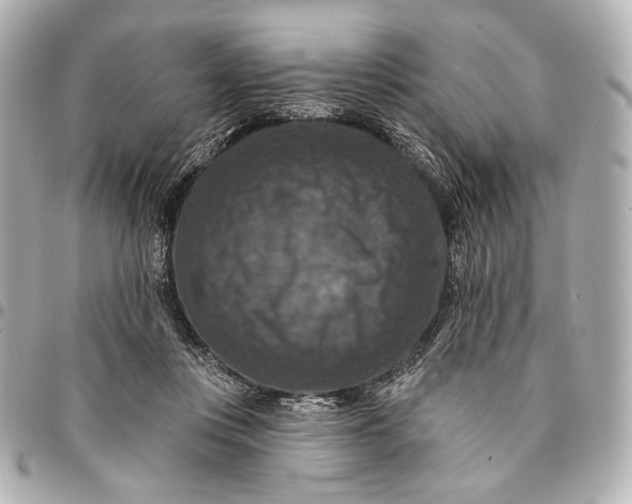 X0000094940359200712201120