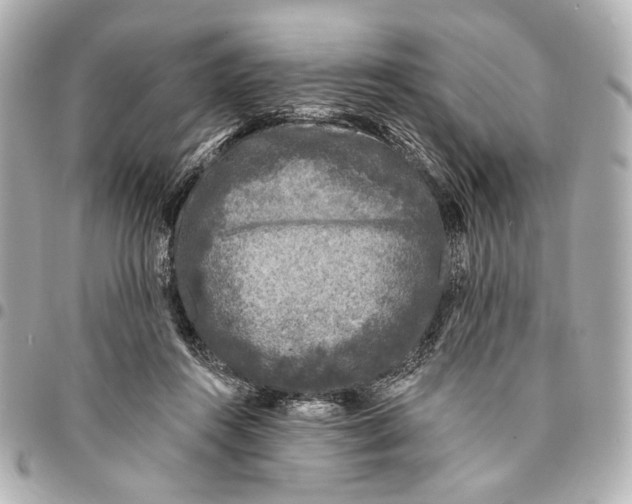 X0000094940360200712201120