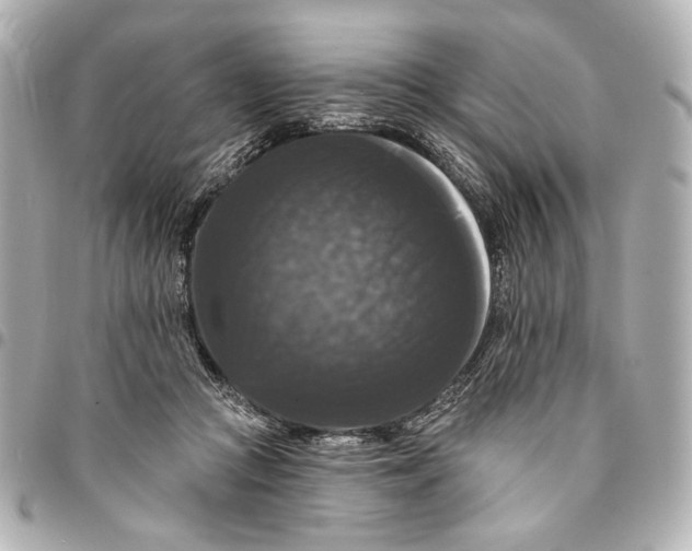 X0000094940361200712201120