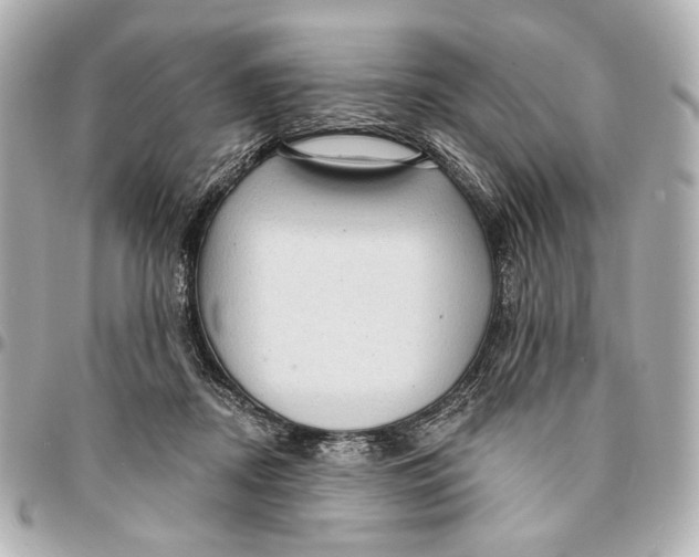 X0000094940362200712201120