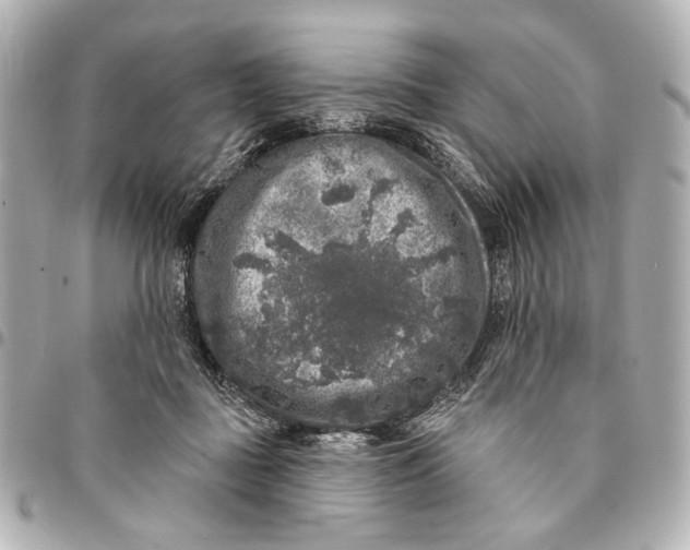 X0000094940363200712201120