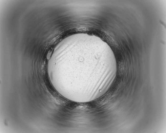 X0000094940364200712201120