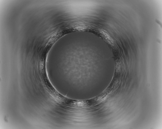 X0000094940365200712201120