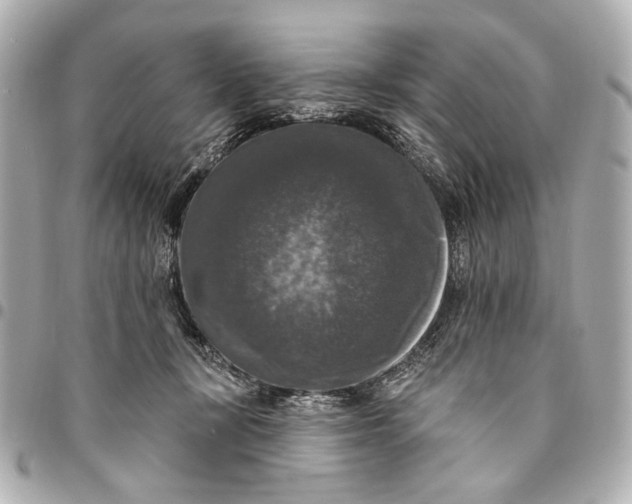 X0000094940367200712201120