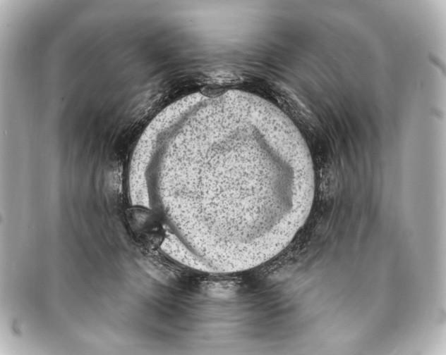 X0000094940368200712201120