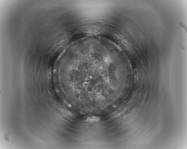 X0000094940369200712201120