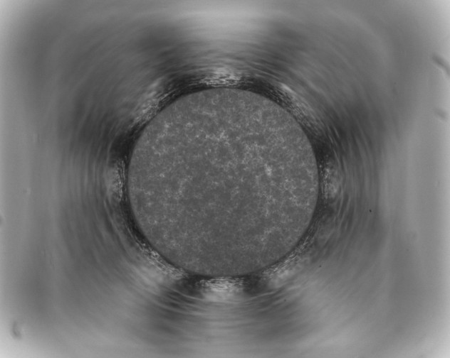 X0000094940370200712201120