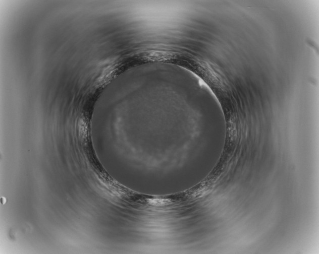 X0000094940371200712201120