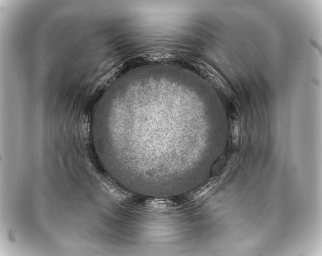 X0000094940372200712201120