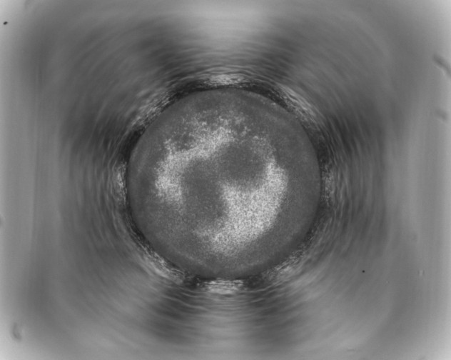 X0000094940373200712201120