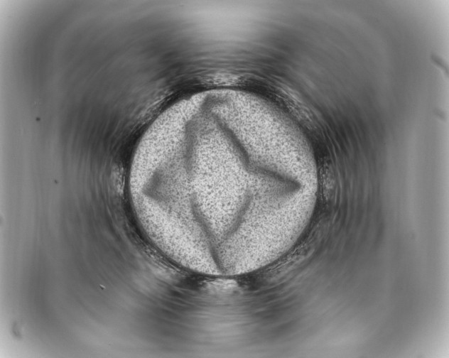 X0000094940374200712201120