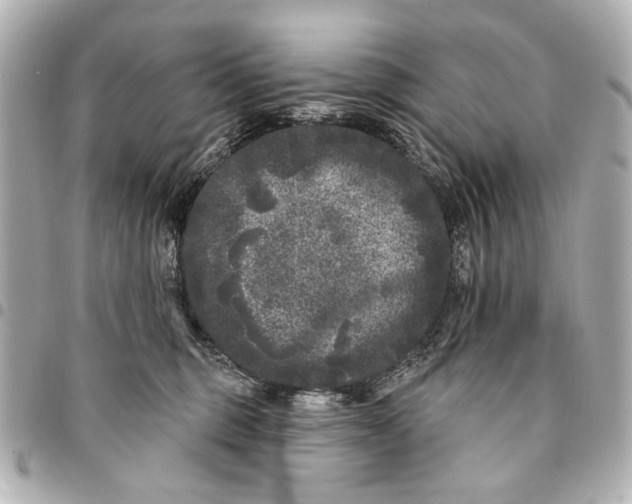 X0000094940375200712201120