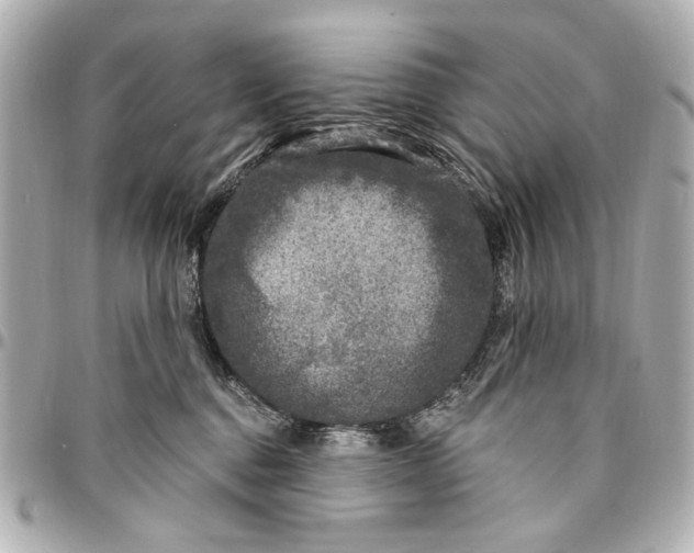 X0000094940376200712201120