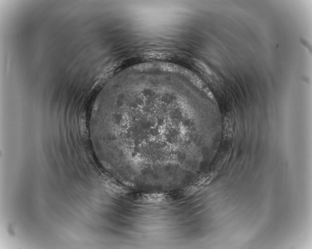 X0000094940377200712201120