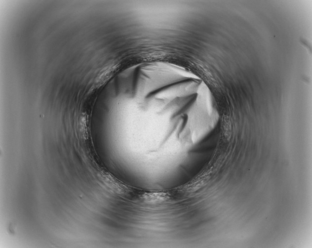 X0000094940378200712201120