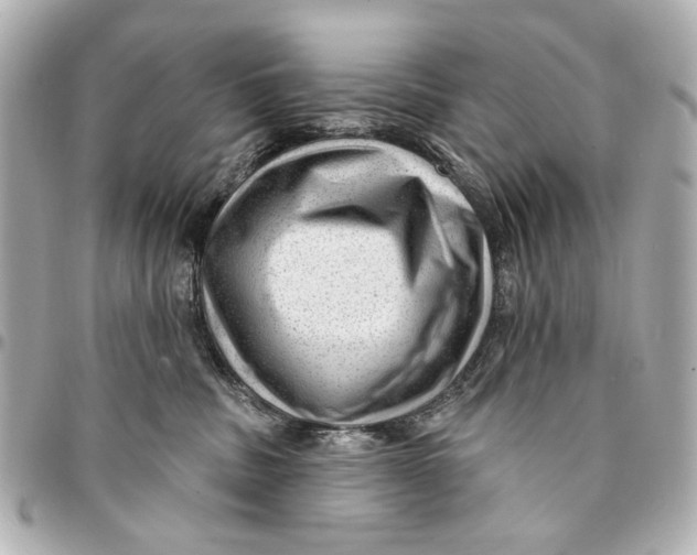 X0000094940379200712201120