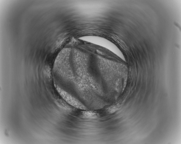 X0000094940380200712201120