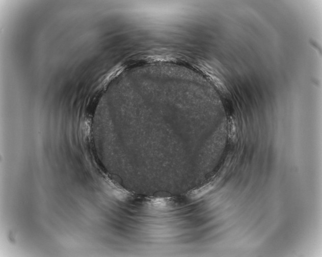 X0000094940382200712201120