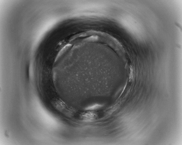 X0000094940383200712201120