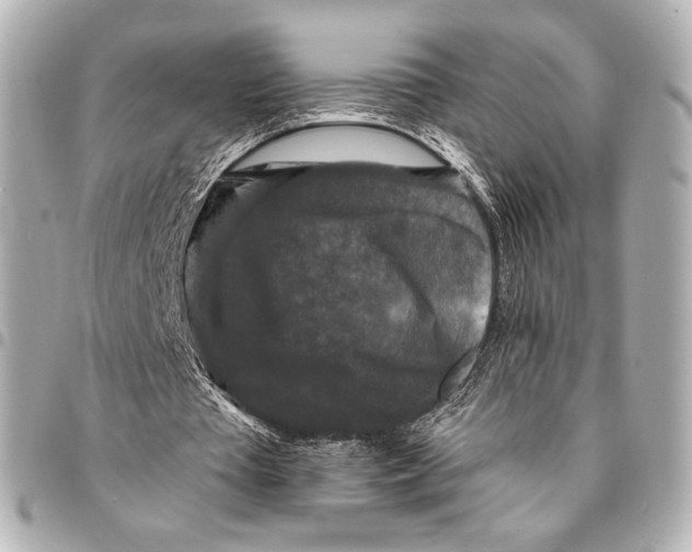 X0000094940385200712201119