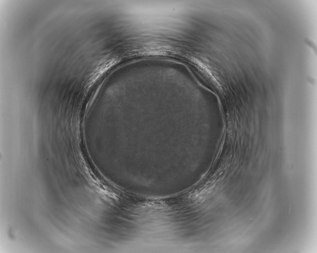 X0000094940386200712201119