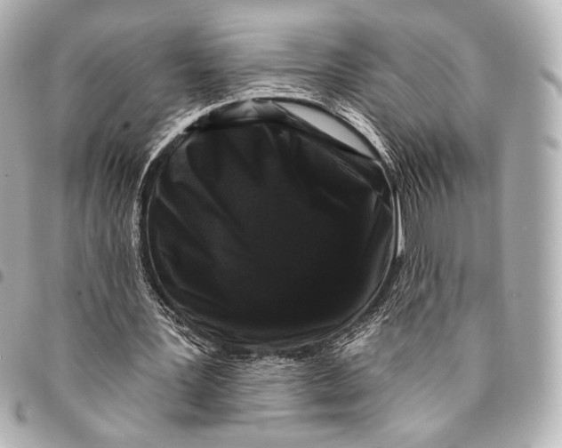 X0000094940387200712201119