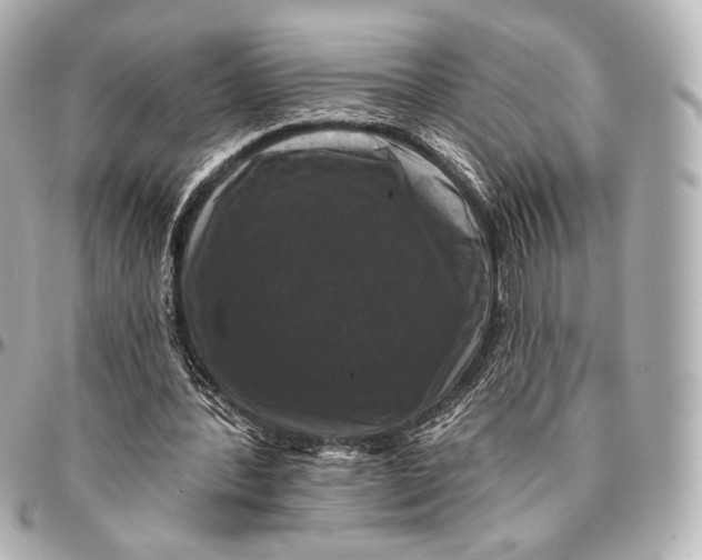 X0000094940388200712201119