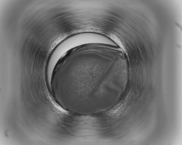 X0000094940389200712201119