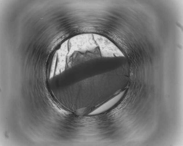 X0000094940390200712201119