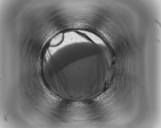 X0000094940392200712201119