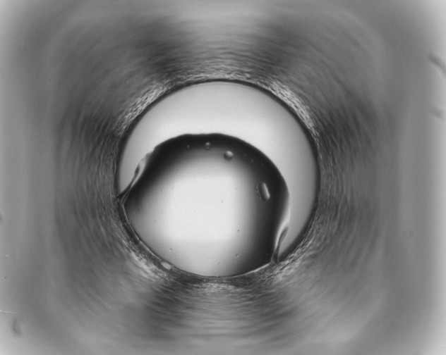 X0000094940393200712201119