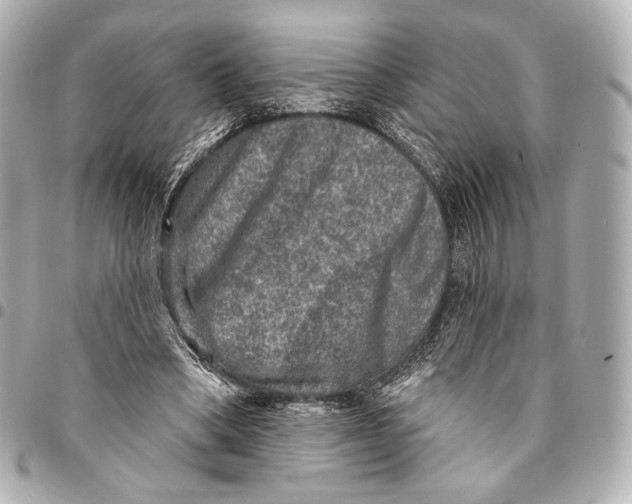 X0000094940394200712201119