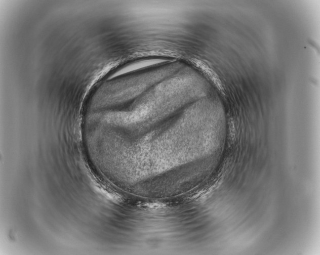 X0000094940395200712201119