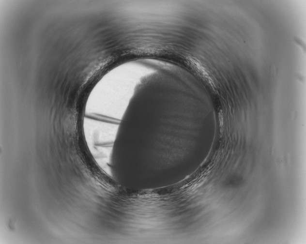 X0000094940396200712201119