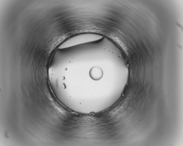 X0000094940397200712201119