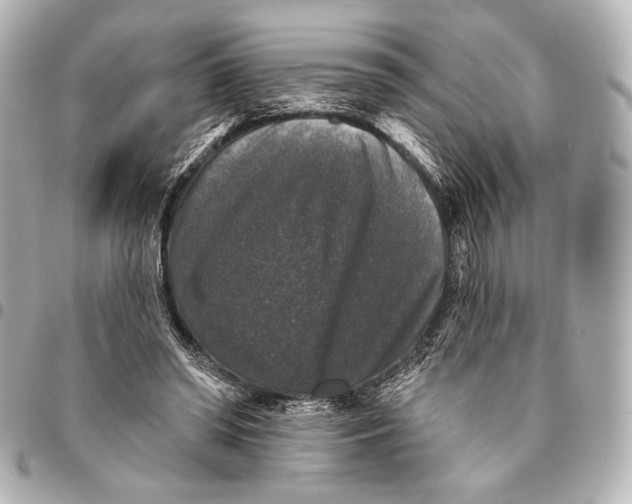 X0000094940398200712201119