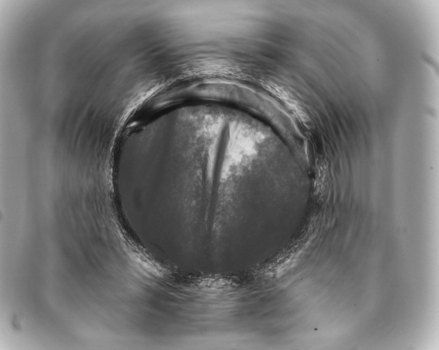 X0000094940399200712201119