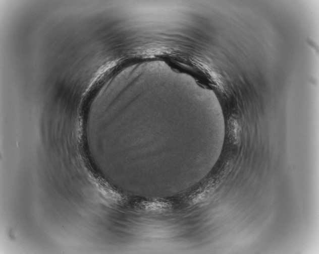 X0000094940400200712201119