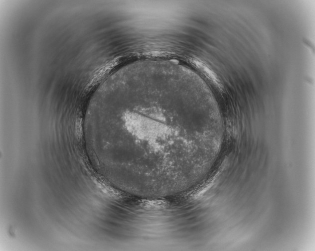 X0000094940401200712201119