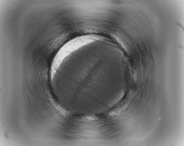 X0000094940402200712201119