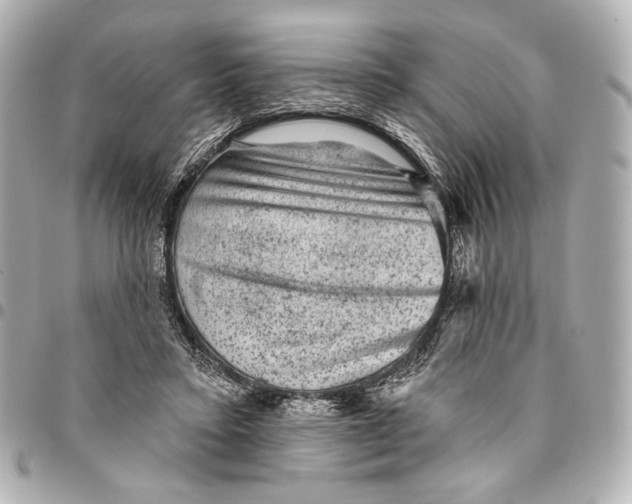 X0000094940403200712201119