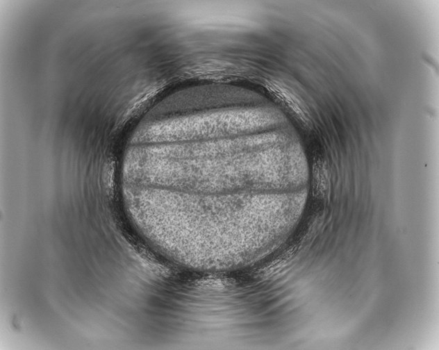 X0000094940404200712201119