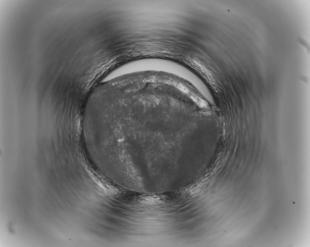 X0000094940405200712201119