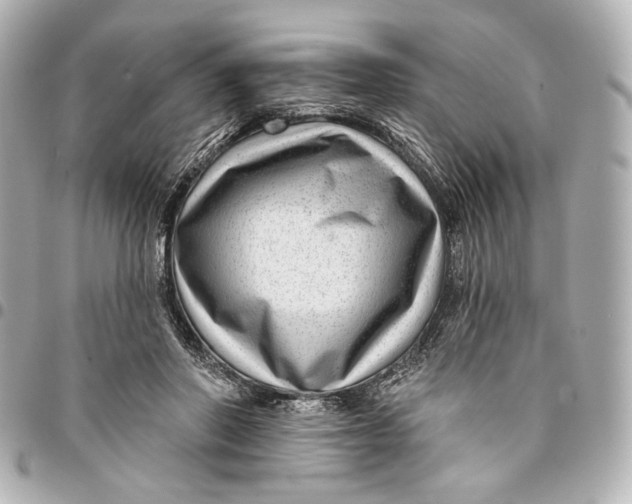 X0000094940406200712201119