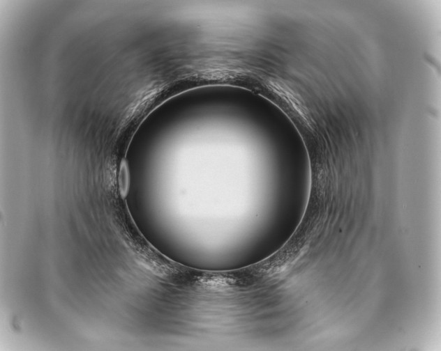 X0000094940407200712201119