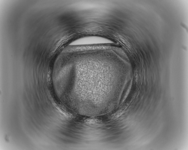 X0000094940408200712201119