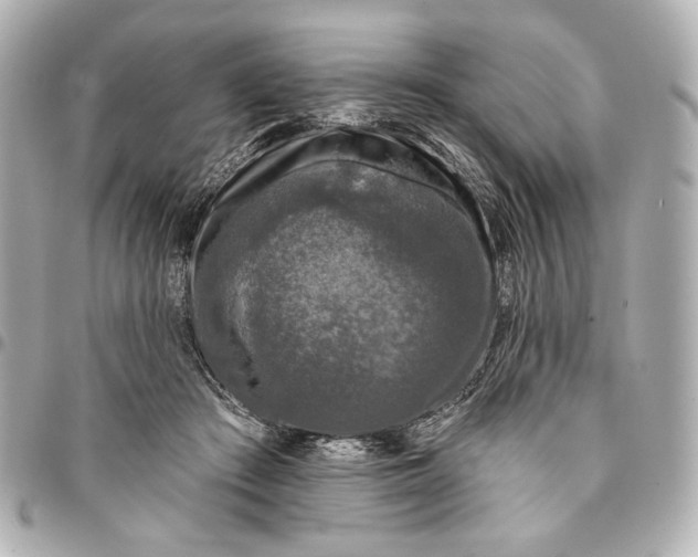 X0000094940409200712201119